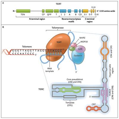 Editorial: Reviews in assisted reproduction: 2022